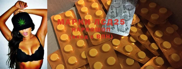 ГАЛЛЮЦИНОГЕННЫЕ ГРИБЫ Сафоново