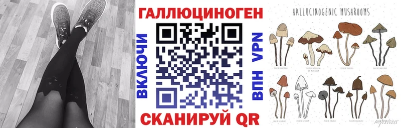 Галлюциногенные грибы Psilocybine cubensis Пыть-Ях