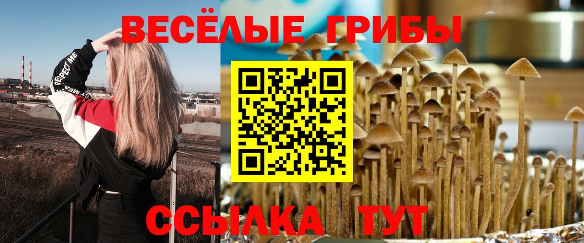 Галлюциногенные грибы Cubensis Пыть-Ях