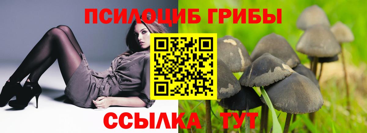 сколько стоит  Вход с VPN  Пыть-Ях  Галлюциногенные грибы Psilocybe 